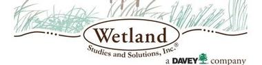 Wetland Studies and Solutions